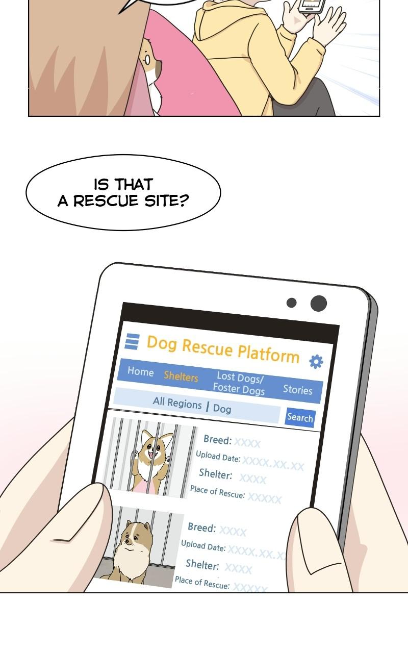 The Dog Diaries Chap 1 - Next Chap 2