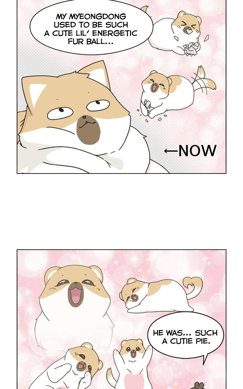 The Dog Diaries Chap 69 - Next Chap 70