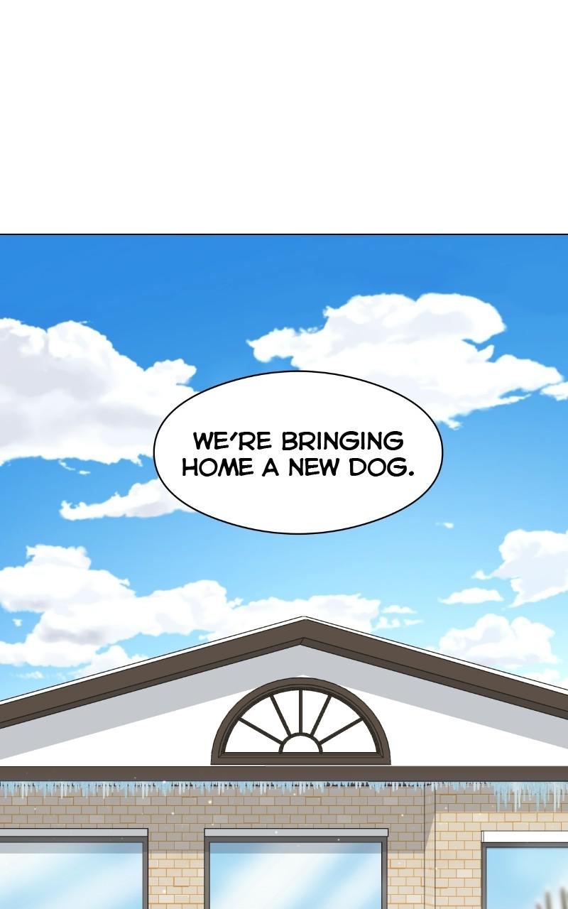The Dog Diaries Chap 1 - Next Chap 2