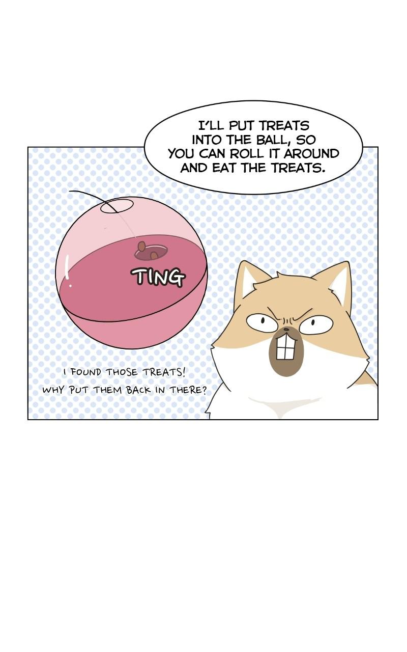 The Dog Diaries Chap 1 - Next Chap 2