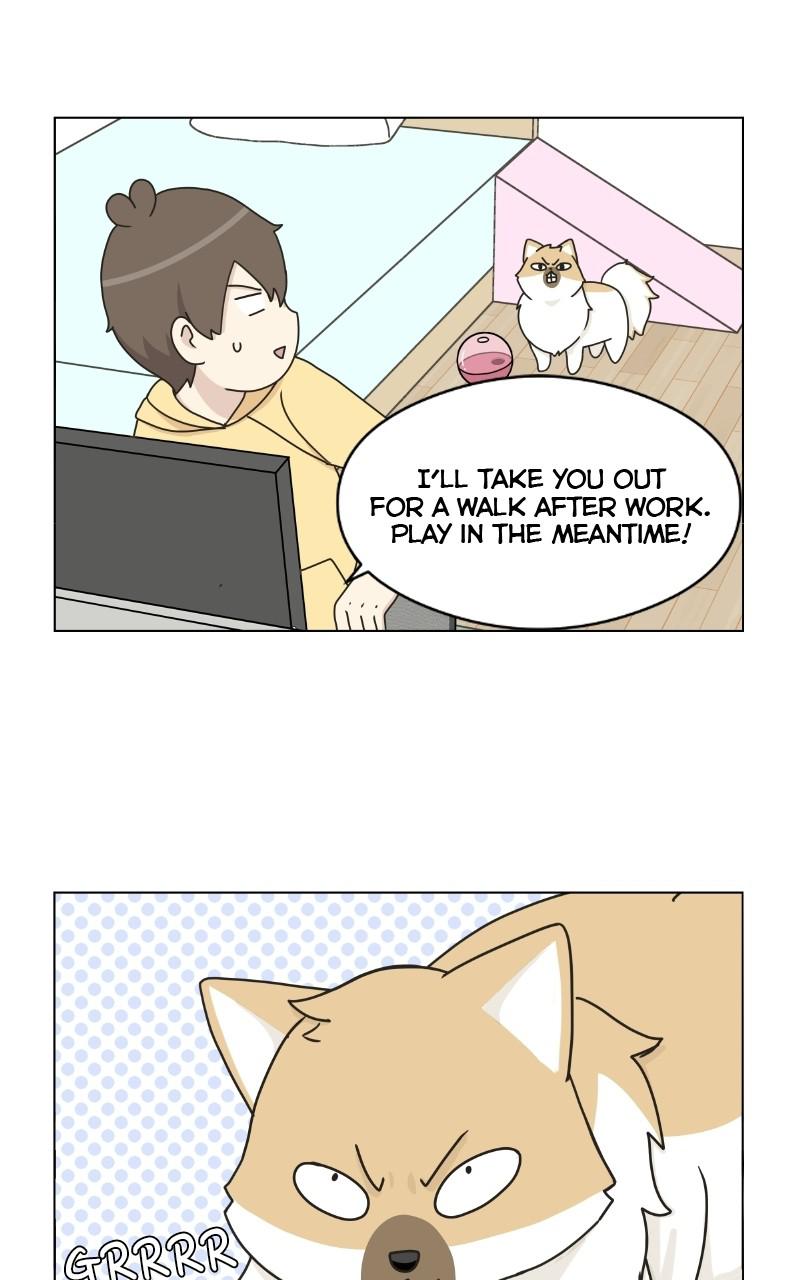 The Dog Diaries Chap 1 - Next Chap 2