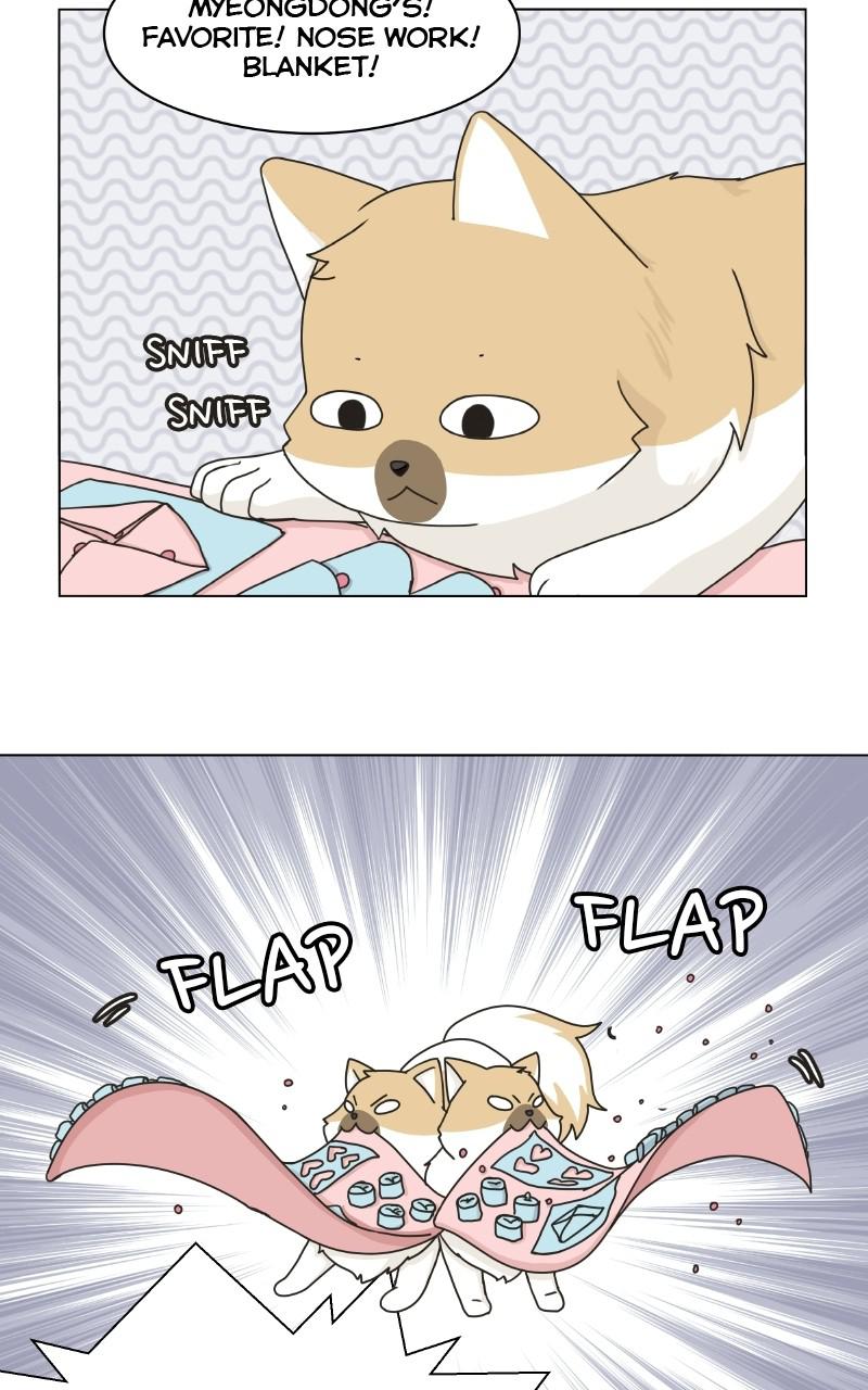 The Dog Diaries Chap 1 - Next Chap 2