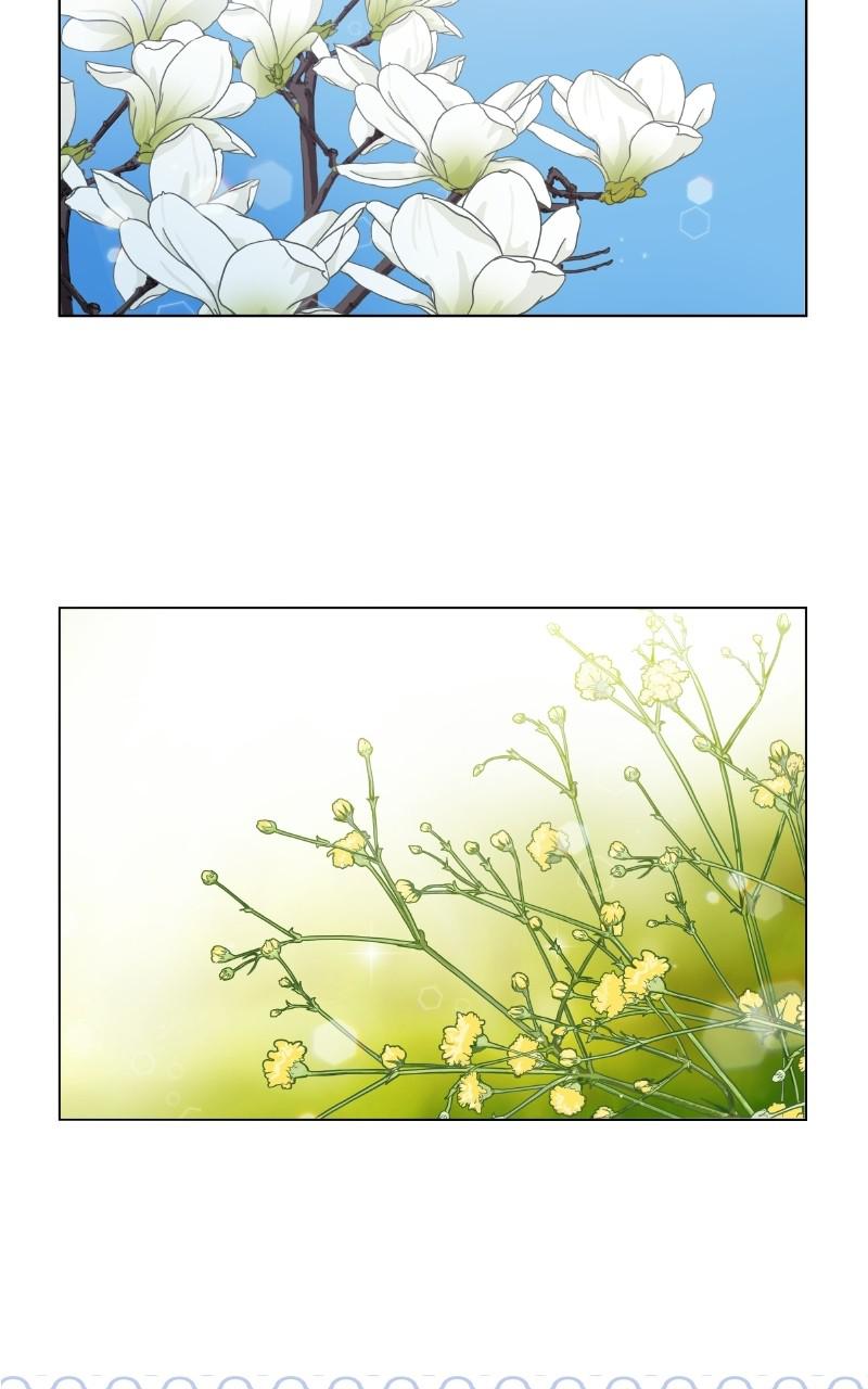 The Dog Diaries Chap 69 - Next Chap 70