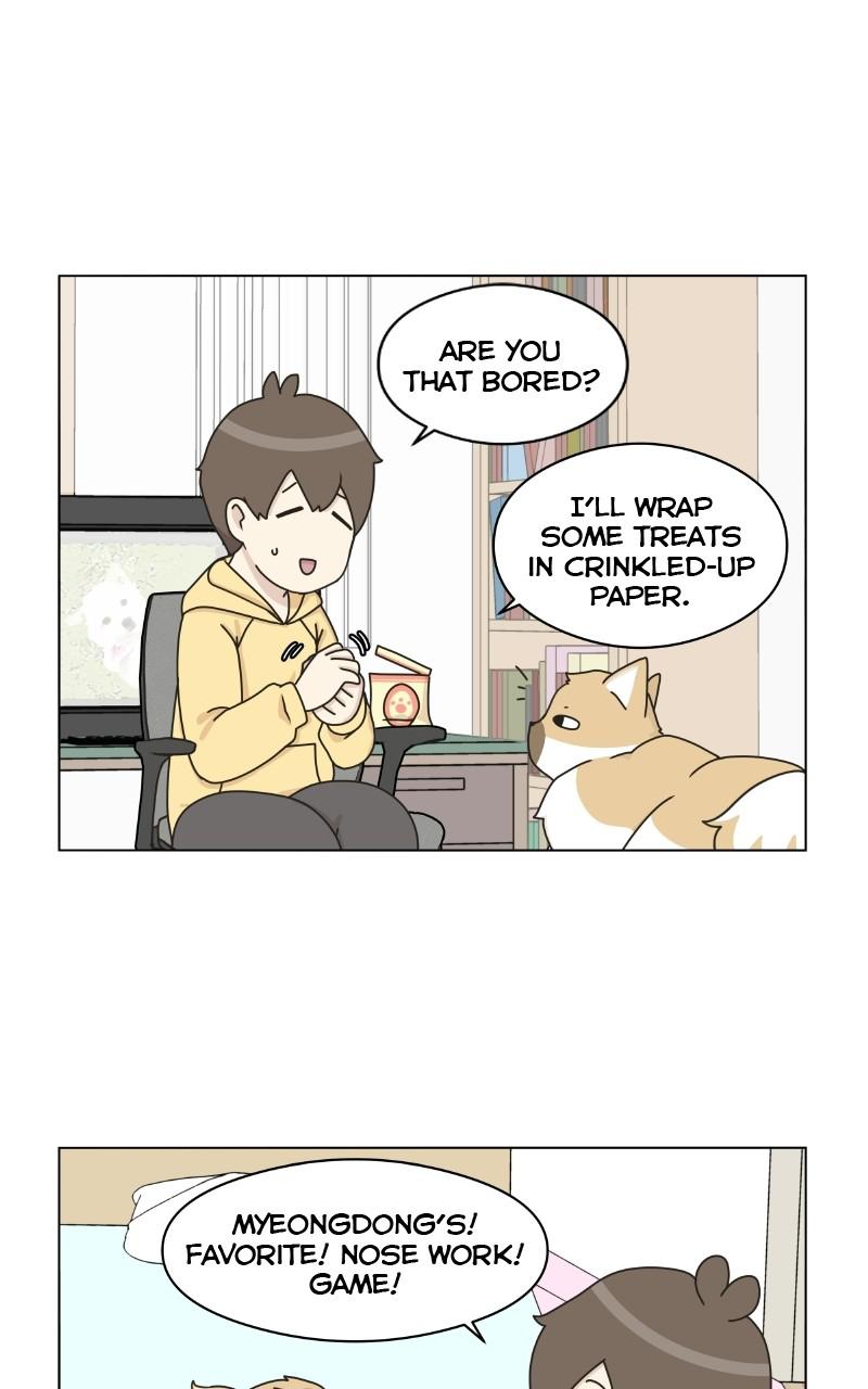 The Dog Diaries Chap 1 - Next Chap 2