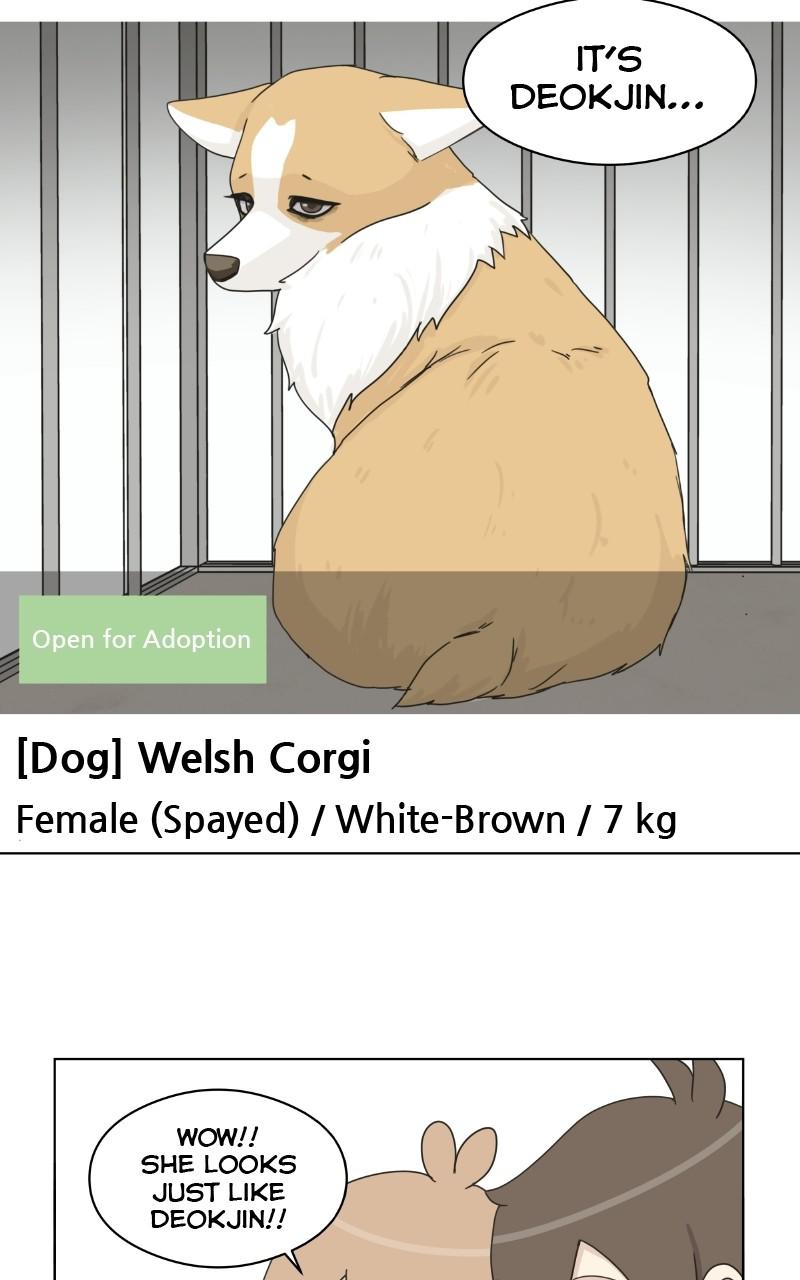 The Dog Diaries Chap 1 - Next Chap 2