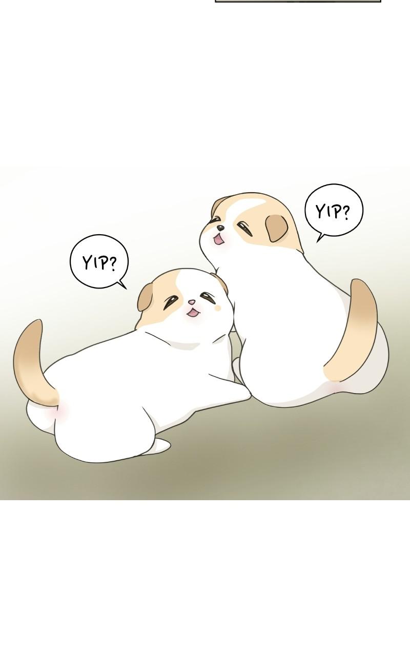 The Dog Diaries Chap 1 - Next Chap 2