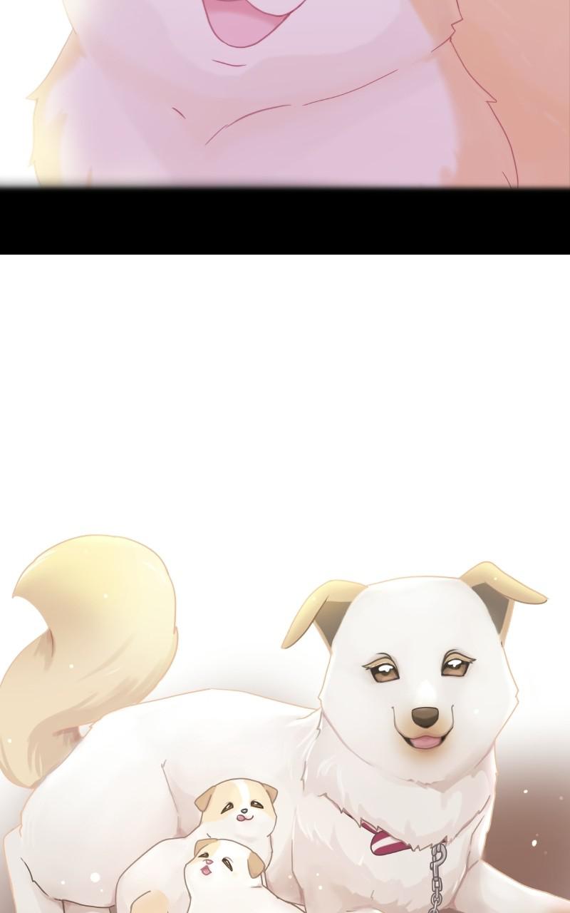 The Dog Diaries Chap 1 - Next Chap 2