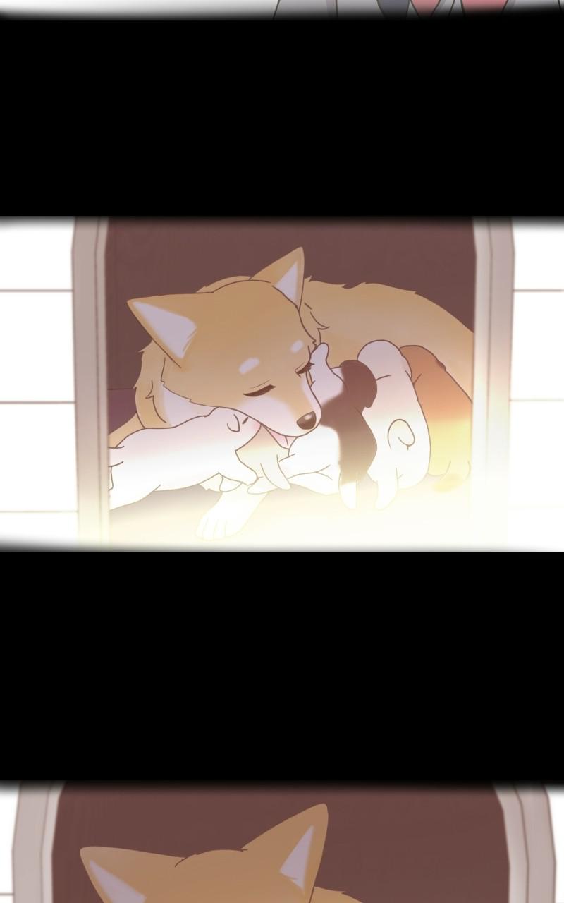 The Dog Diaries Chap 69 - Next Chap 70