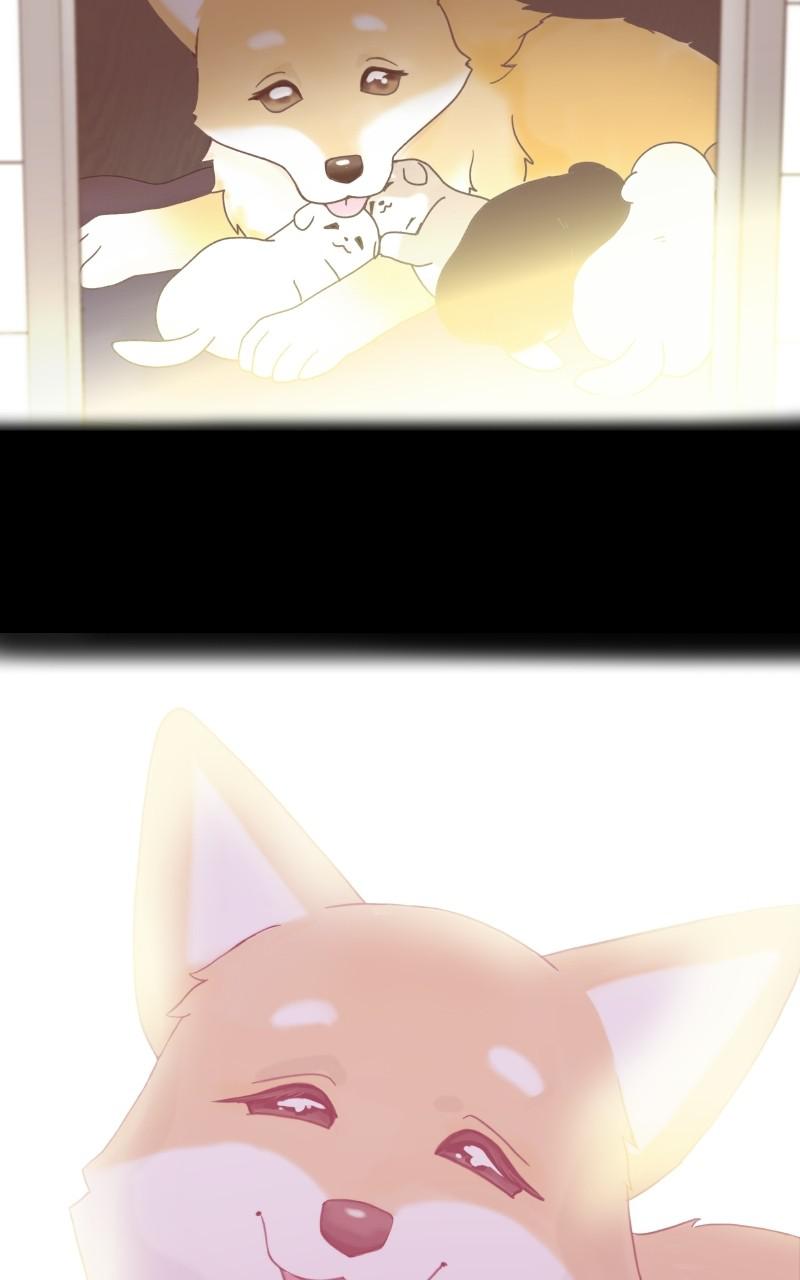 The Dog Diaries Chap 1 - Next Chap 2