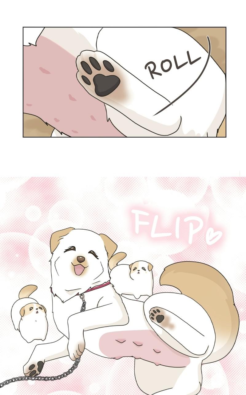 The Dog Diaries Chap 1 - Next Chap 2