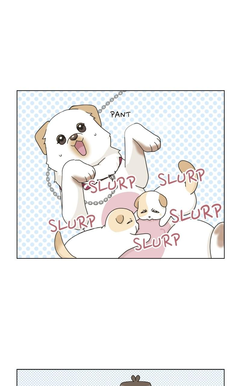 The Dog Diaries Chap 1 - Next Chap 2