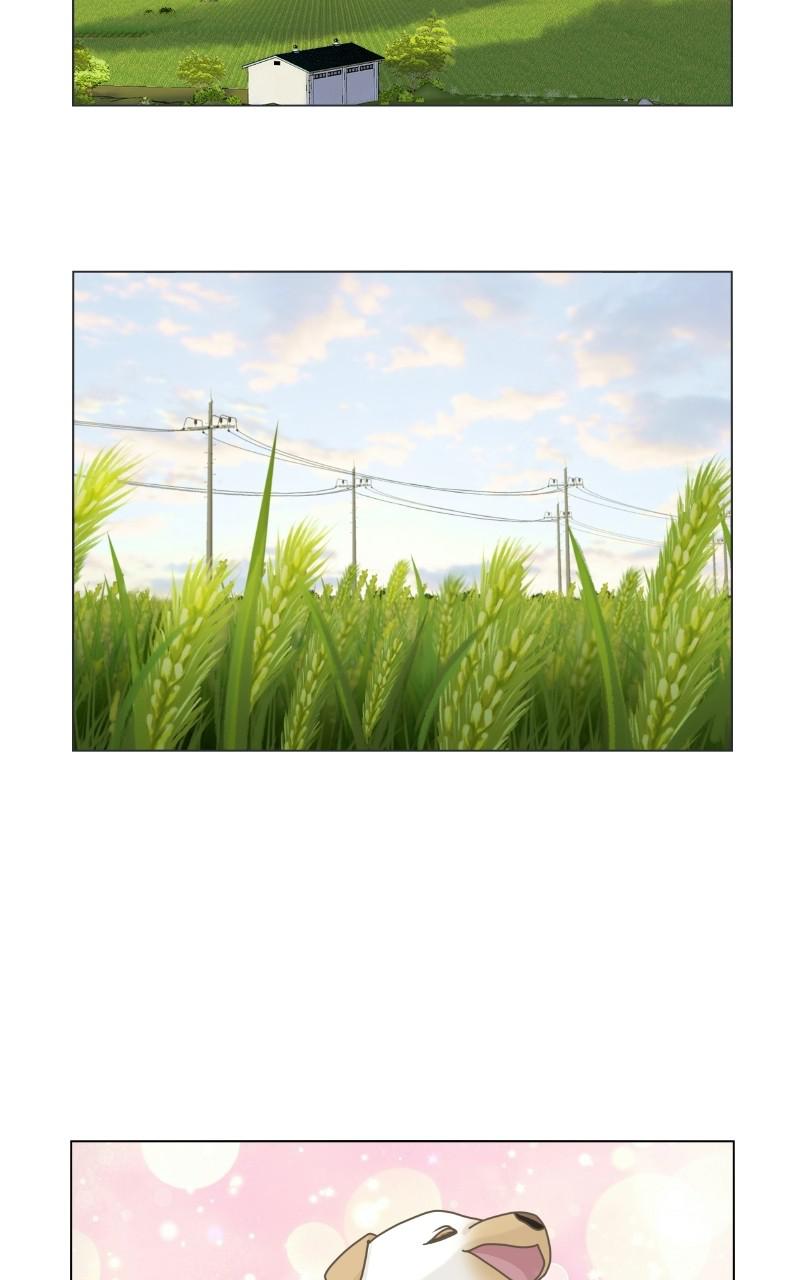 The Dog Diaries Chap 70 - Next Chap 71