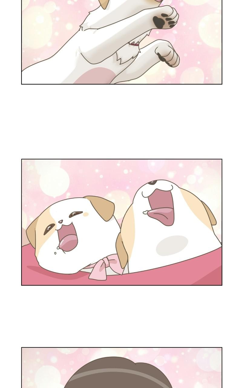 The Dog Diaries Chap 70 - Next Chap 71
