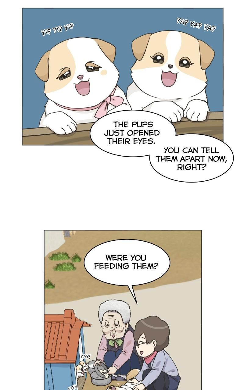 The Dog Diaries Chap 70 - Next Chap 71
