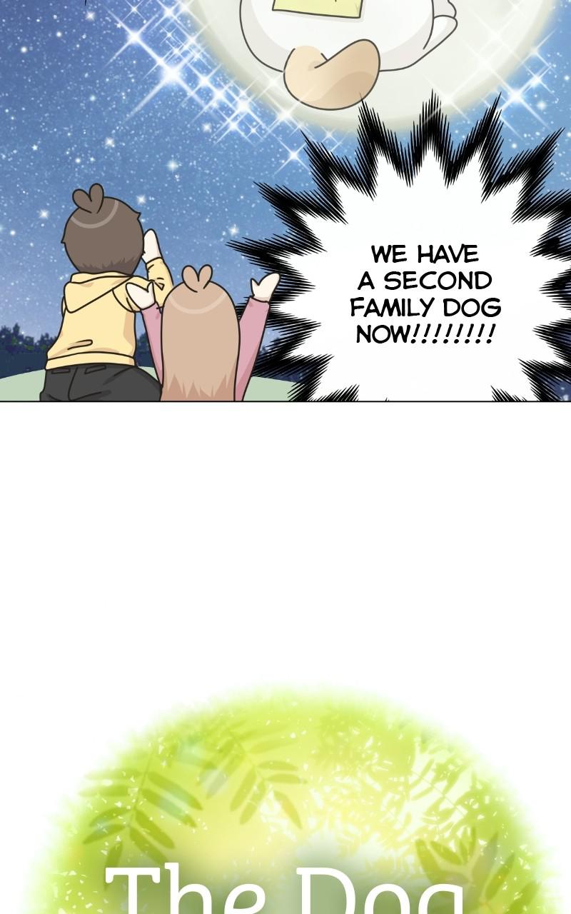The Dog Diaries Chap 70 - Next Chap 71