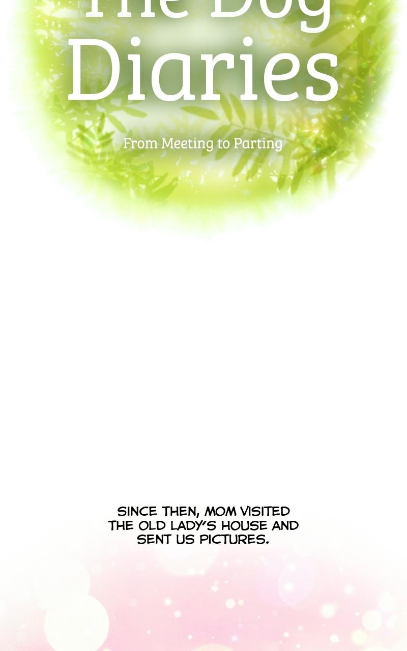 The Dog Diaries Chap 70 - Next Chap 71