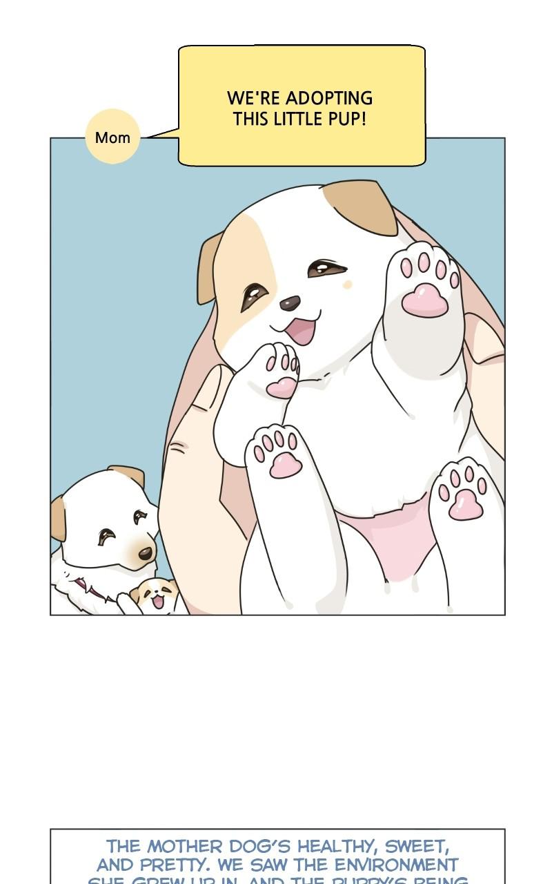 The Dog Diaries Chap 70 - Next Chap 71