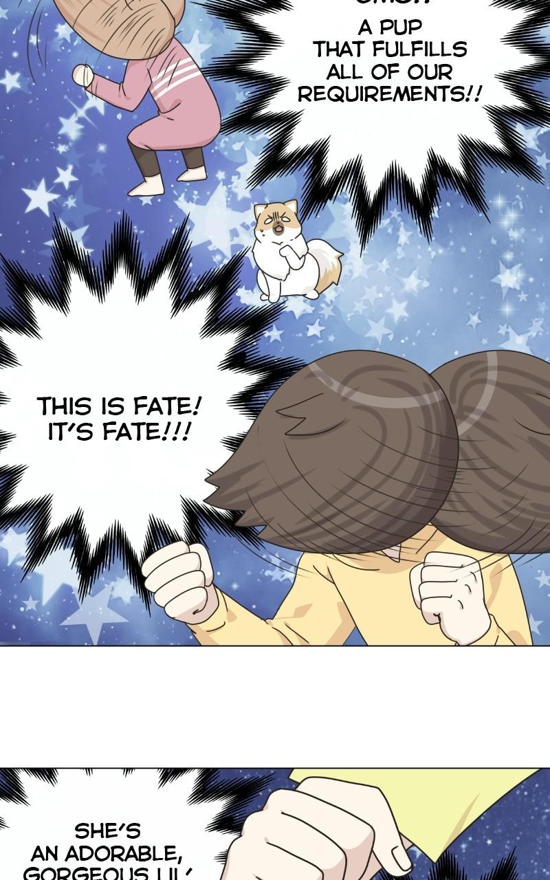 The Dog Diaries Chap 70 - Next Chap 71