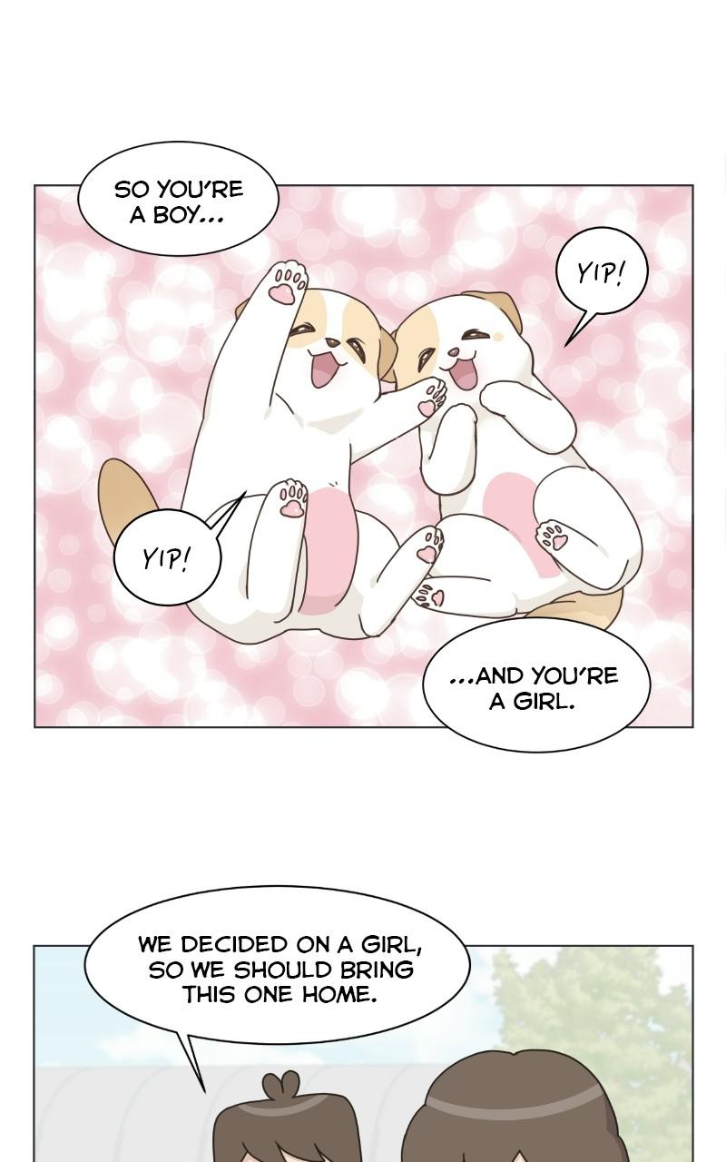 The Dog Diaries Chap 70 - Next Chap 71