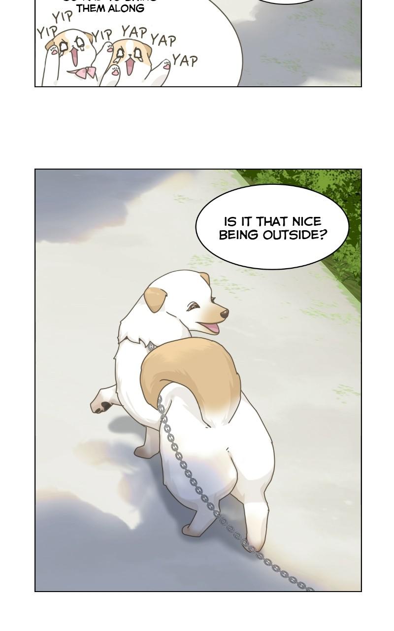 The Dog Diaries Chap 70 - Next Chap 71