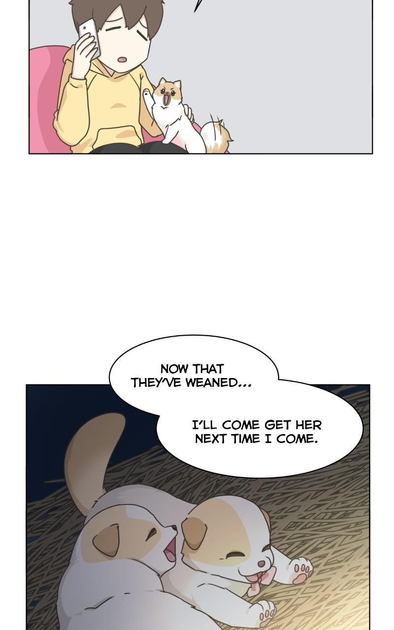 The Dog Diaries Chap 70 - Next Chap 71