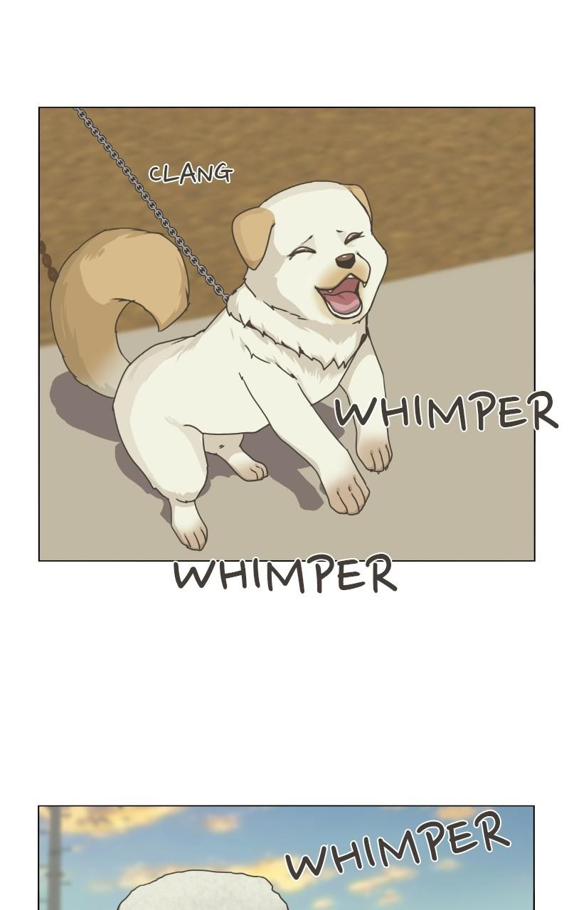 The Dog Diaries Chap 70 - Next Chap 71