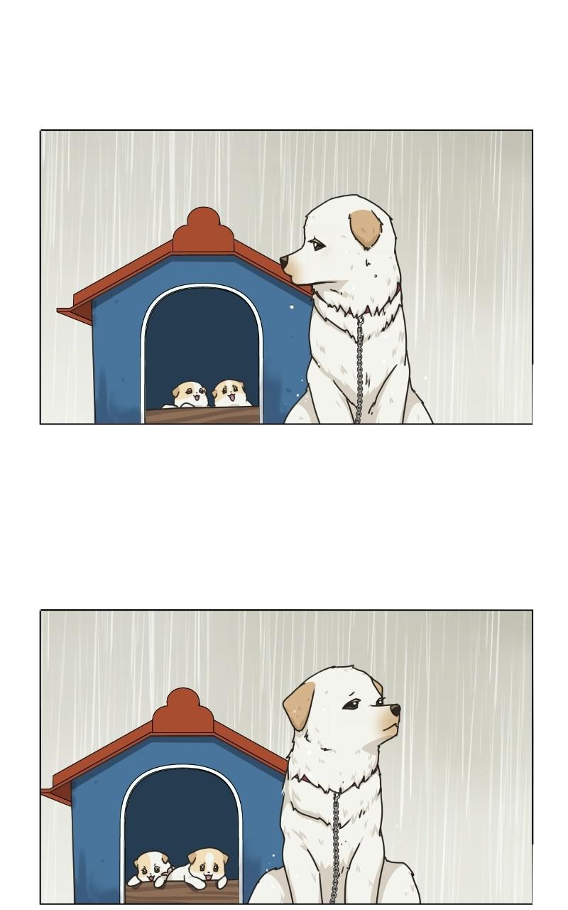 The Dog Diaries Chap 70 - Next Chap 71