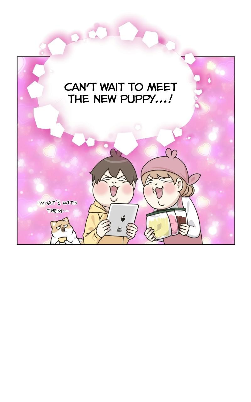 The Dog Diaries Chap 70 - Next Chap 71
