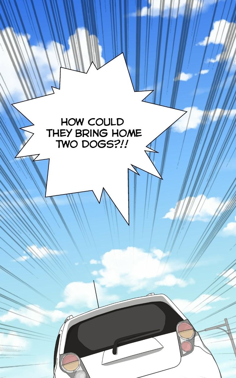 The Dog Diaries Chap 70 - Next Chap 71