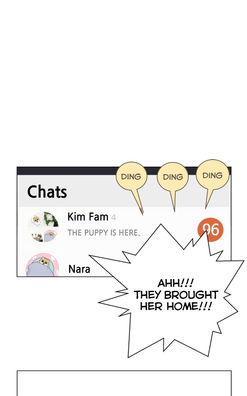 The Dog Diaries Chap 70 - Next Chap 71