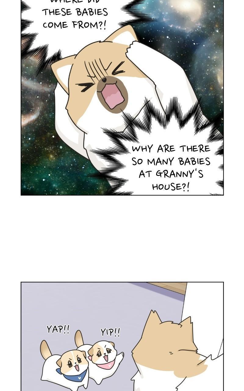 The Dog Diaries Chap 71 - Next Chap 72