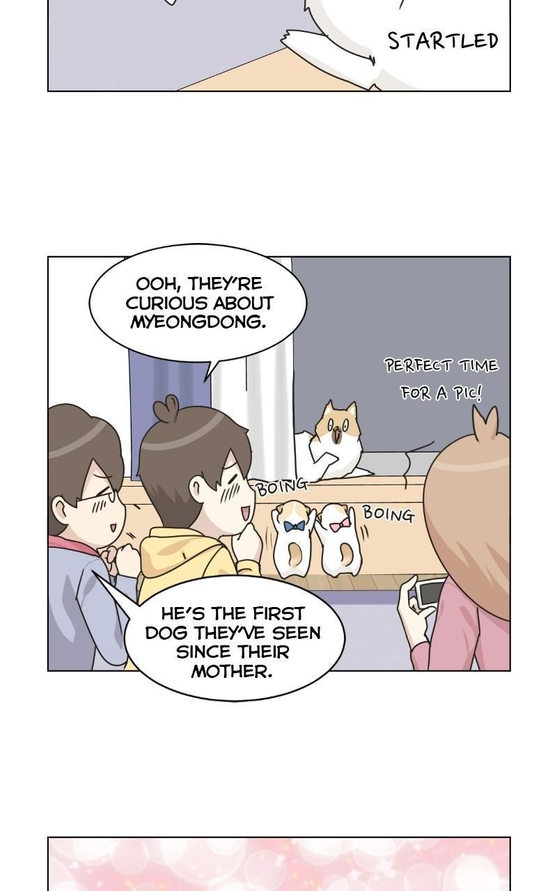 The Dog Diaries Chap 71 - Next Chap 72