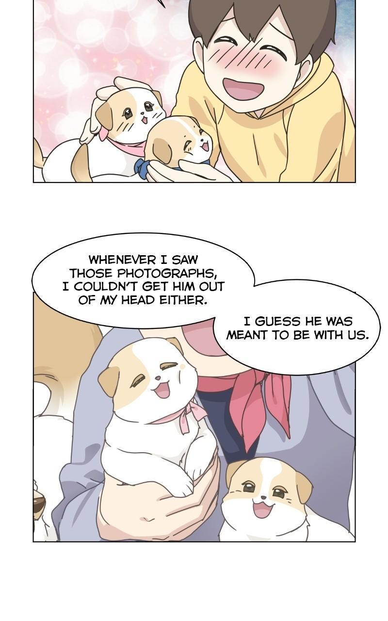 The Dog Diaries Chap 71 - Next Chap 72