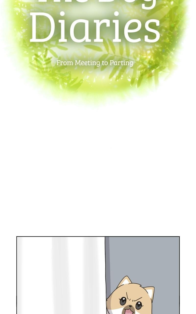 The Dog Diaries Chap 71 - Next Chap 72