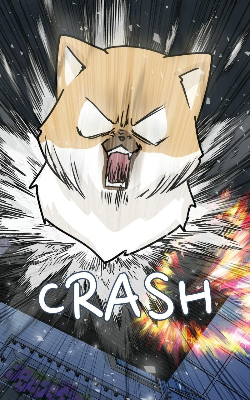 The Dog Diaries Chap 71 - Next Chap 72