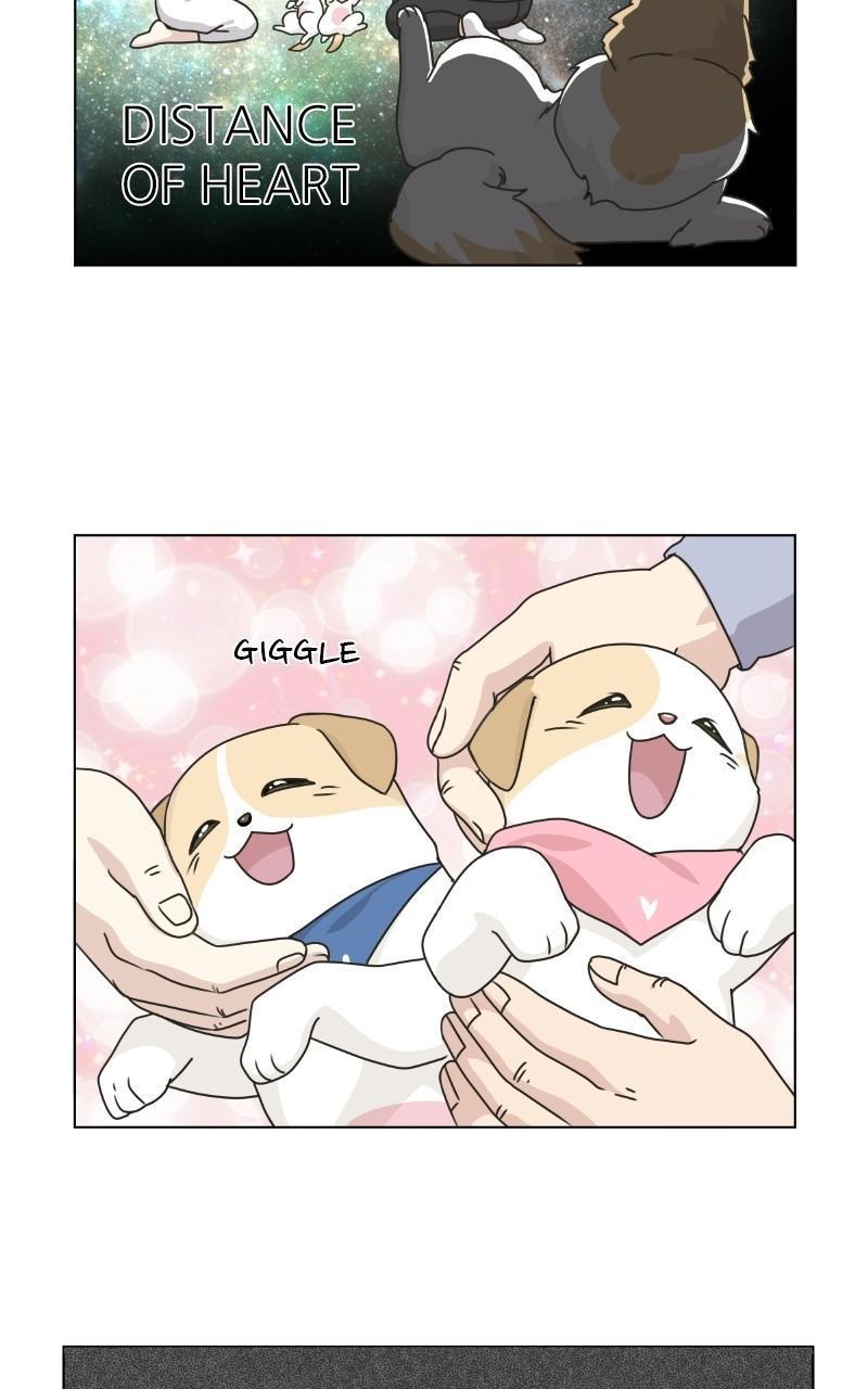 The Dog Diaries Chap 71 - Next Chap 72