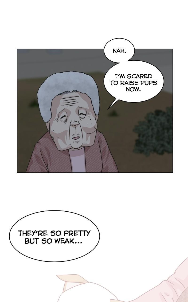 The Dog Diaries Chap 71 - Next Chap 72