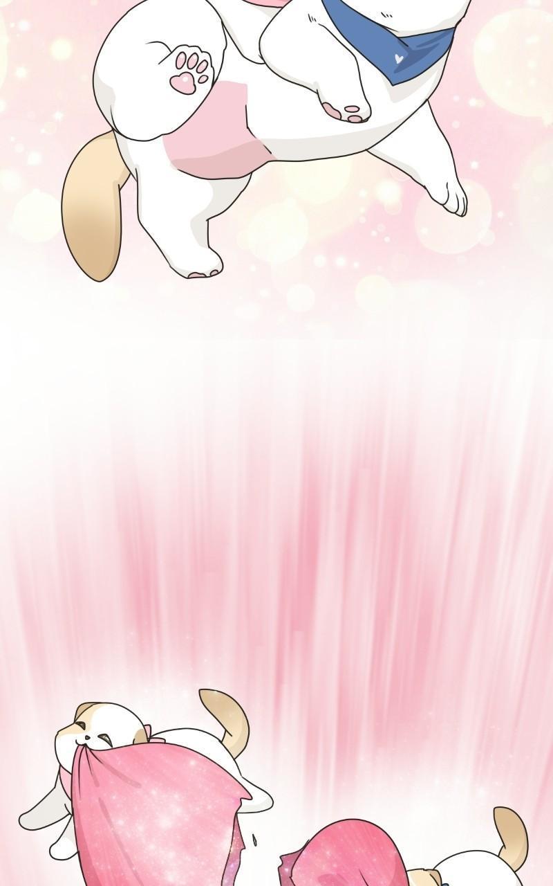 The Dog Diaries Chap 71 - Next Chap 72