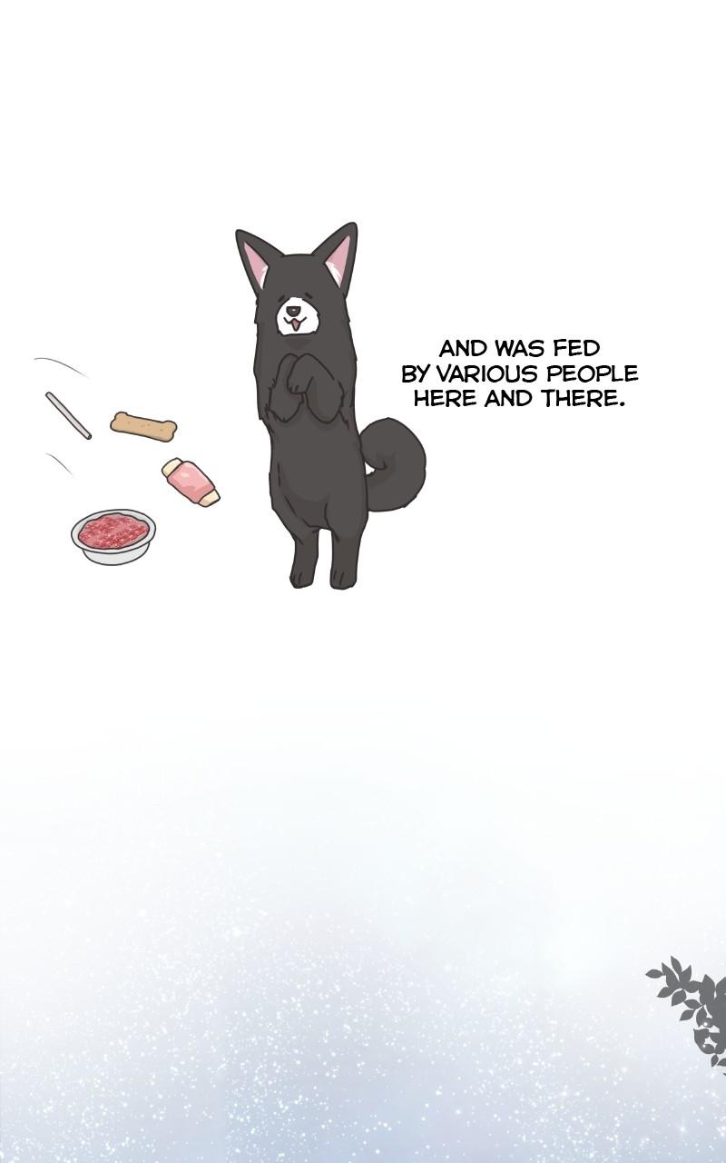 The Dog Diaries Chap 85 - Next Chap 86
