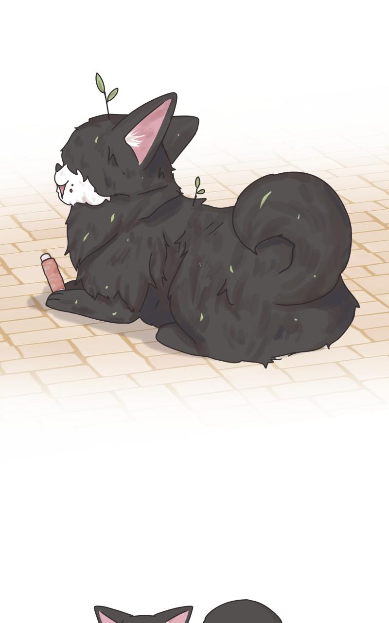 The Dog Diaries Chap 85 - Next Chap 86