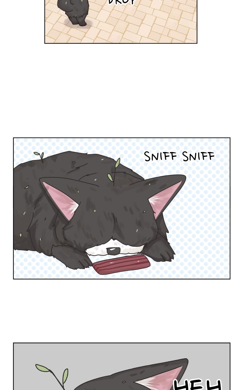 The Dog Diaries Chap 85 - Next Chap 86