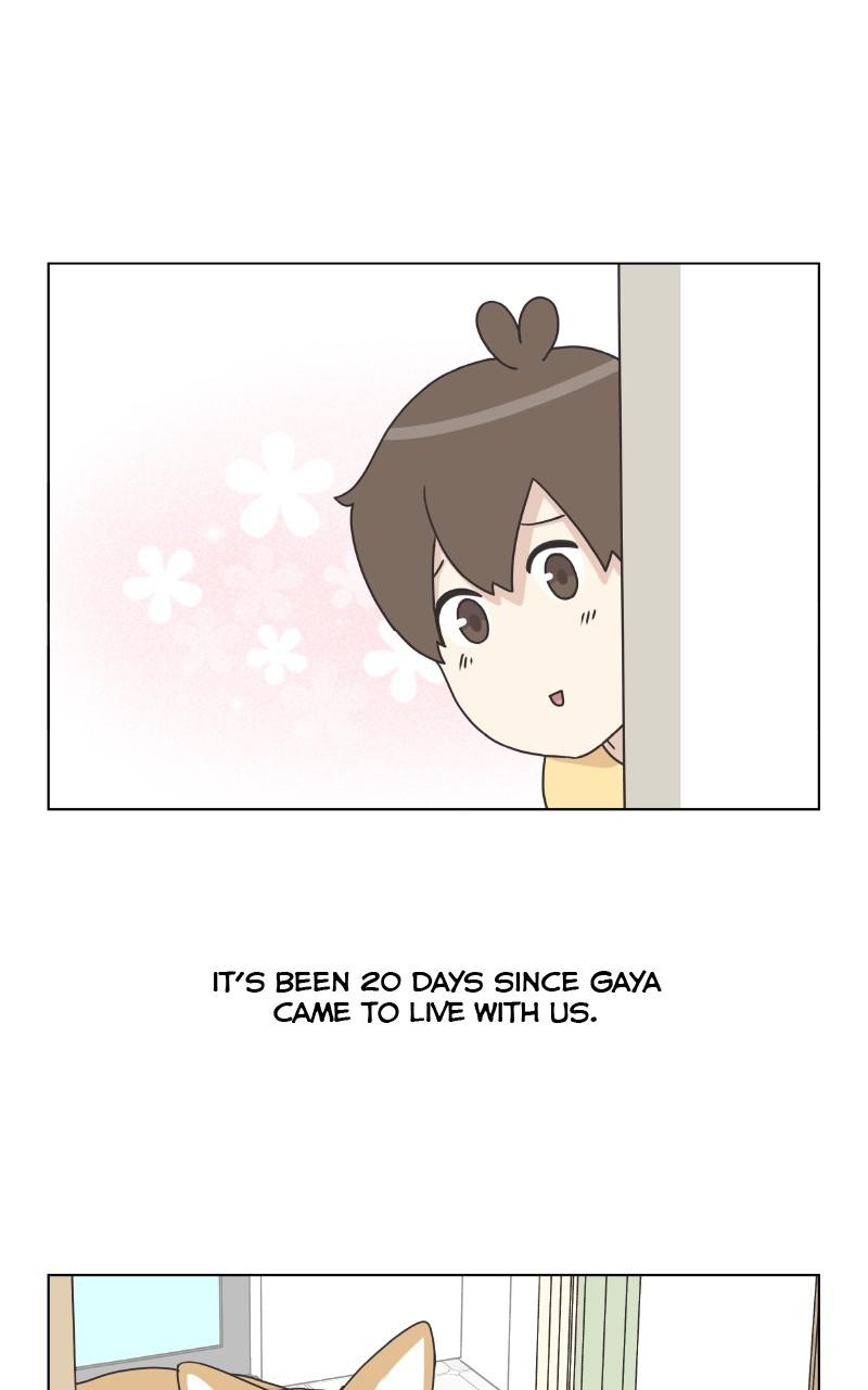 The Dog Diaries Chap 85 - Next Chap 86