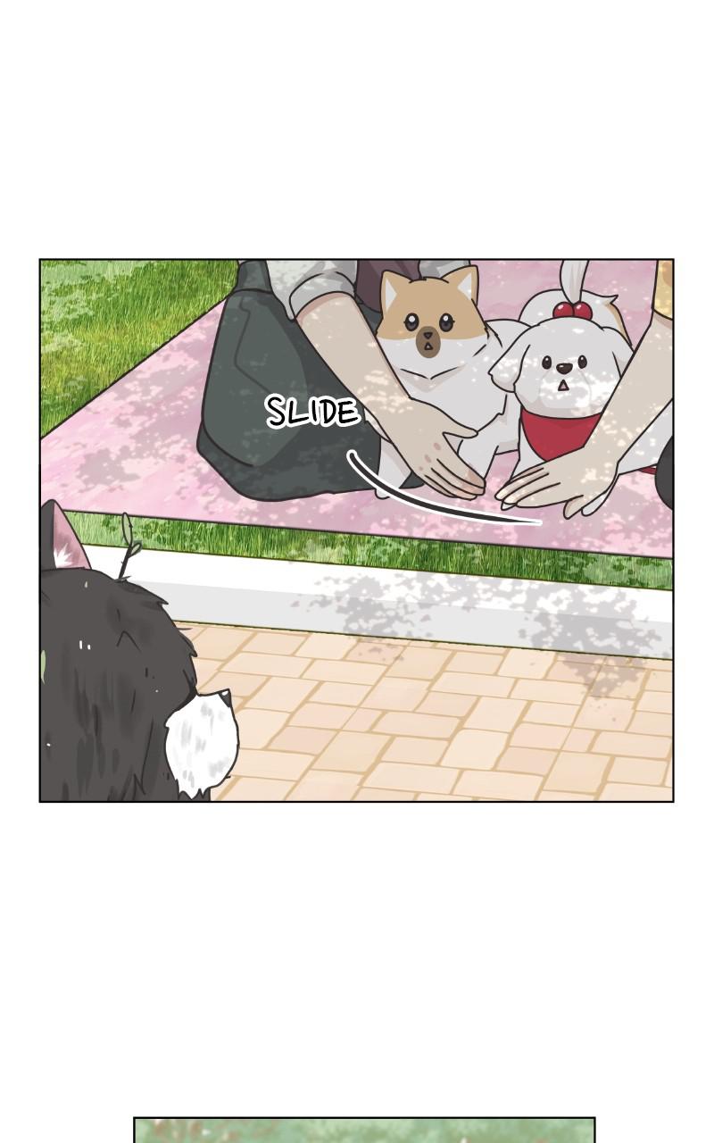 The Dog Diaries Chap 85 - Next Chap 86