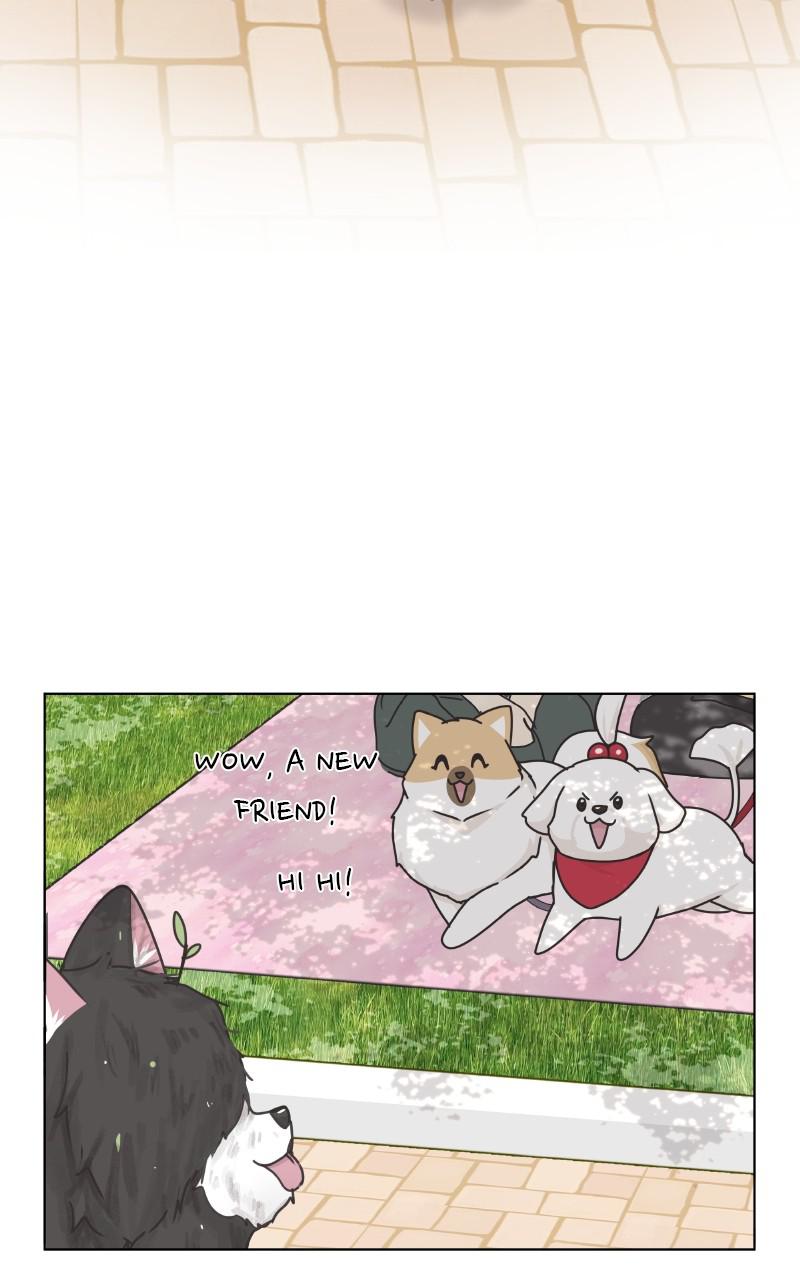 The Dog Diaries Chap 85 - Next Chap 86