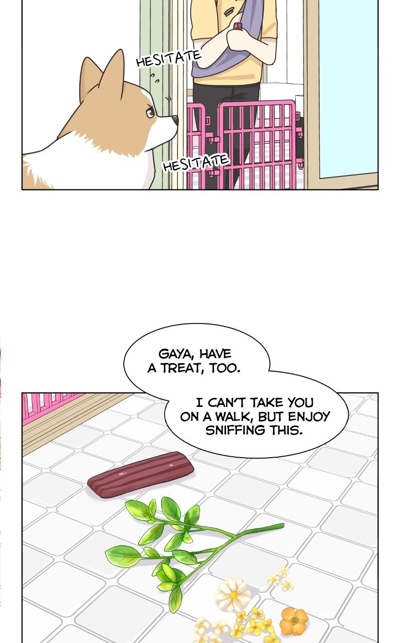 The Dog Diaries Chap 85 - Next Chap 86