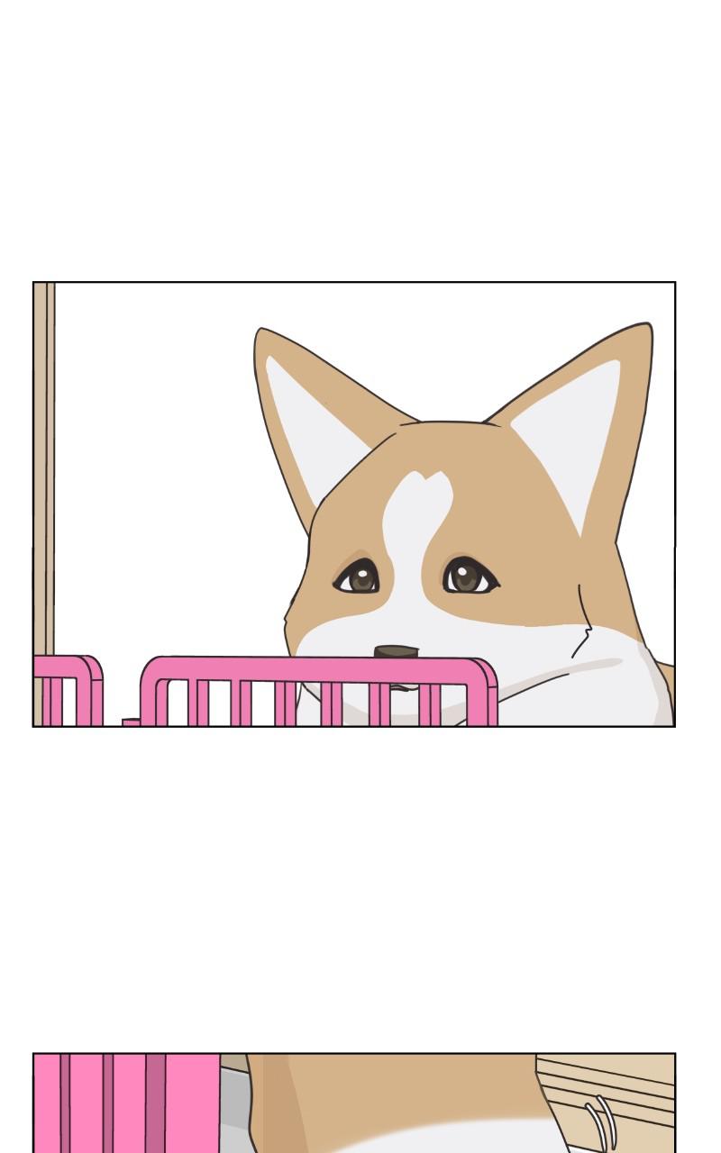 The Dog Diaries Chap 85 - Next Chap 86