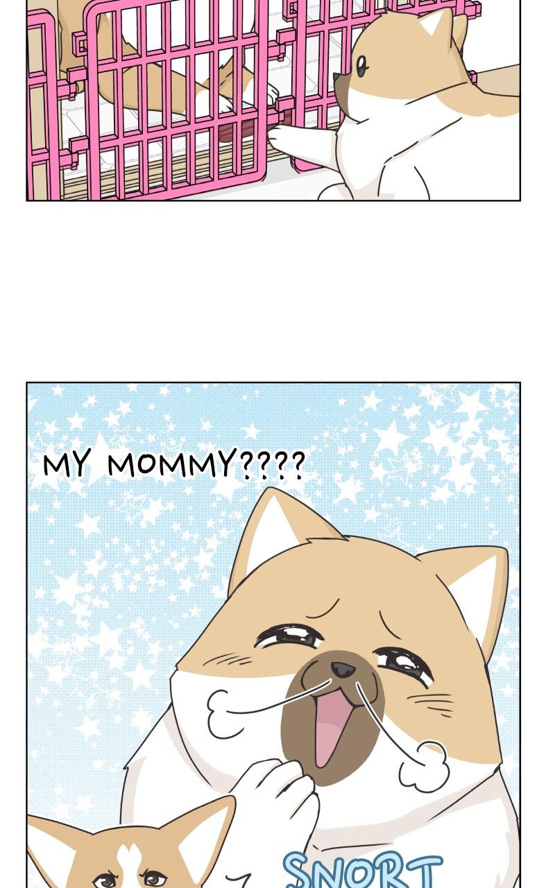 The Dog Diaries Chap 85 - Next Chap 86