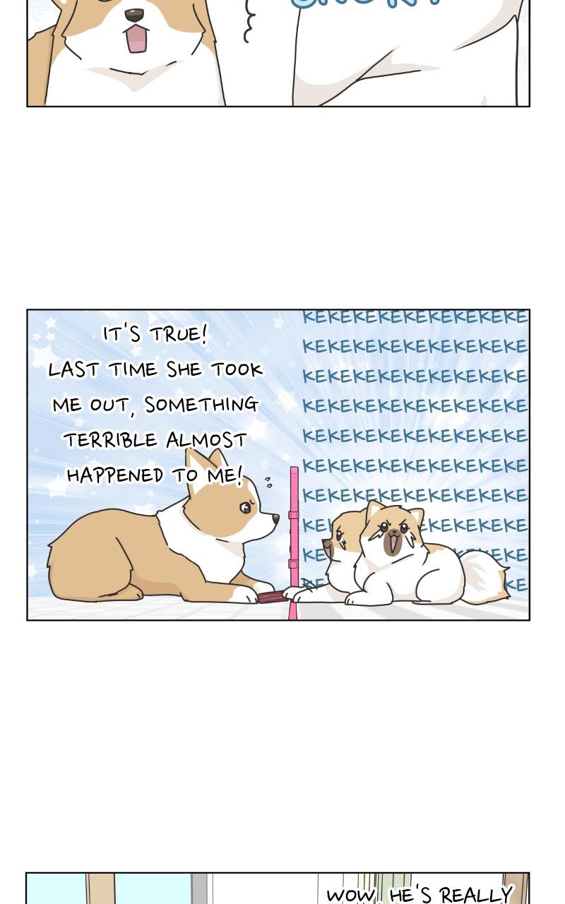 The Dog Diaries Chap 85 - Next Chap 86