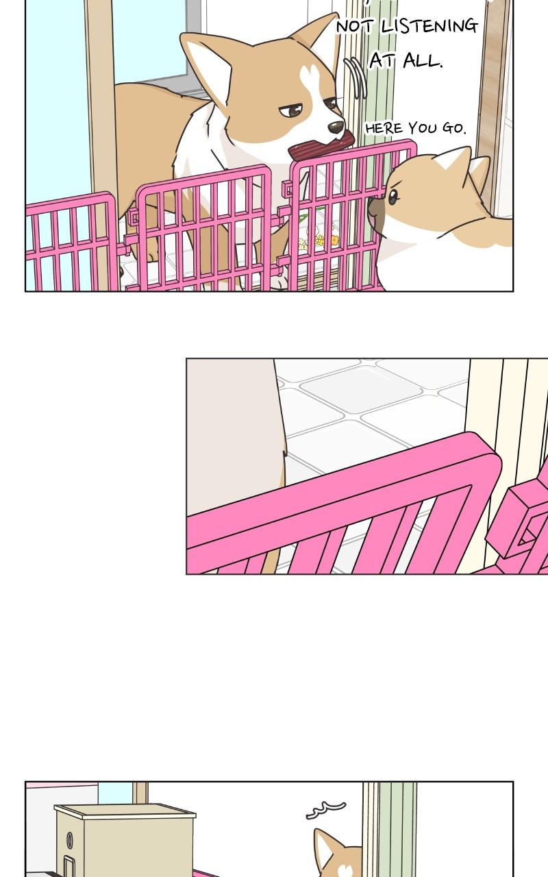 The Dog Diaries Chap 85 - Next Chap 86