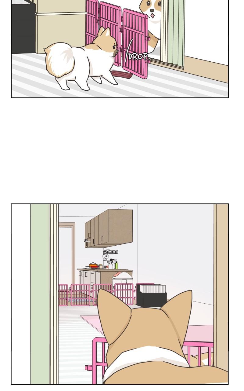 The Dog Diaries Chap 85 - Next Chap 86